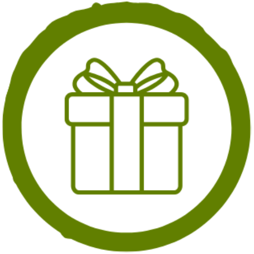 Newsletter Icon